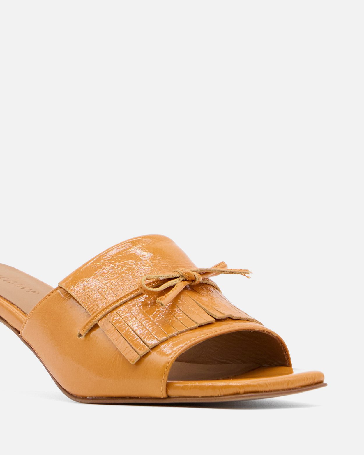 Signy - Image 4
